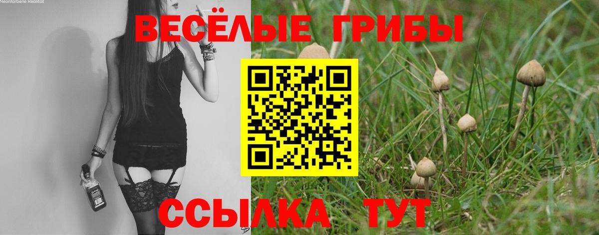 Псилоцибиновые грибы прущие грибы  цена наркотик  Балтийск  Вход с VPN 